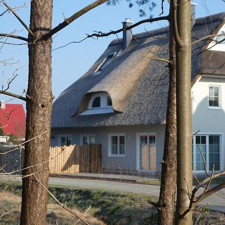 Kleine Seenixe Zingst Exterior foto